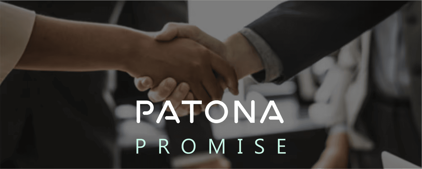 Patona Promise illustration